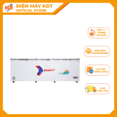 Tủ Đông Sanaky 900 lít VH-1199HY